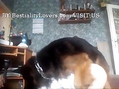 Zoofilia Gay En Twitter