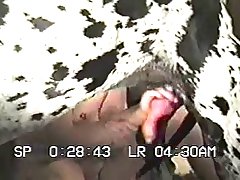 Zoofilia Homens E Animais