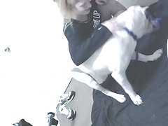 Porn Horse Squirt