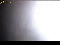 Furry Dog And Human Porn