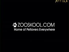 Video Xnxx Zoo
