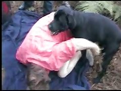 Animal Having Sex With A Woman