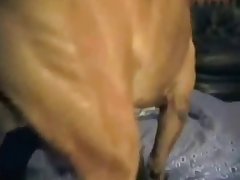 Unwanted Dog Porn