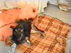 Taboo Porn Dog
