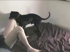 Fingering A Dog Porn