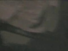 Horse Cums On Girl Porn