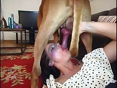 Dog Fuck Pregnant Wife
