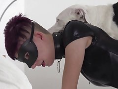 Dog Fuck Sexdoll