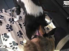 Milf Fuck With Dog