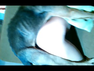 Zoofilia Br