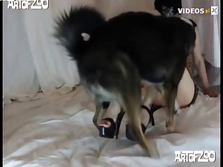 Art Of Zoo Hd Porn