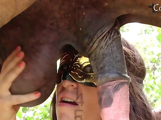 Blowing A Horse Porn