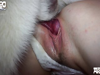 Zoofilia Con Pony