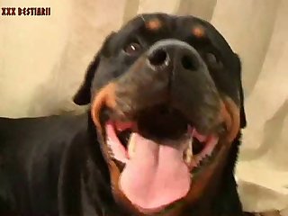Dog Porn Vids