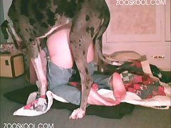 Dog Fuck Girl Crying