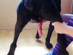 Giant Dog Fuck Girl