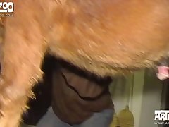 Dog Fuck Compilation Xxx