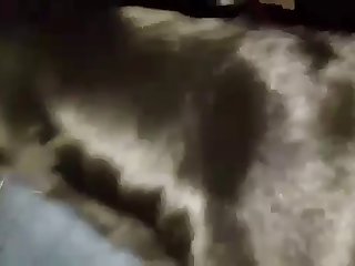 Fucking Dog With Dildo Porn