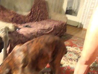 Dog Licks Mouth Porn