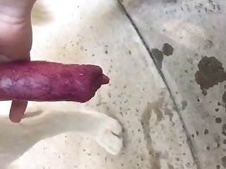 Brazilian Girl Dog Porn