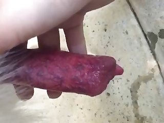 Brazilian Girl Dog Porn