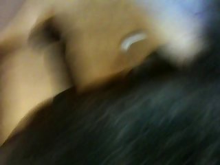 Dog Cumshot Compilation Porn
