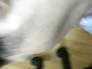 Dog Cumshot Compilation Porn