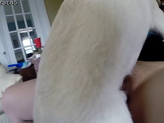 Porn Gay Zoofilia