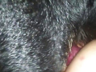 Zoofilia Amateur Video