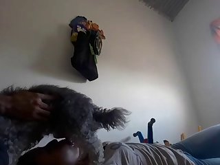 Videos Porno Zoofilia Xxx