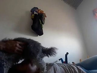 Videos Porno Zoofilia Xxx