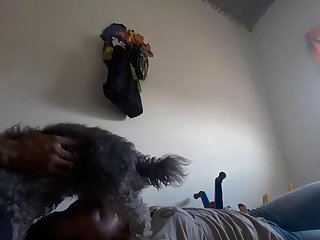Videos Porno Zoofilia Xxx