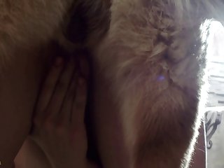 Dog Porn Eating Pussy