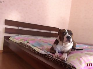 Videos Porn Dog