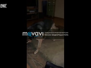 Woman Horse Cum Porn
