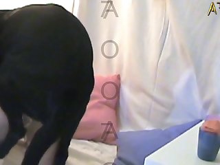 Dog Dildo And Fuck Dude Fucks Animal Extrem Sex And Taboo Porn