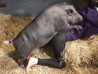 Wierd Animal Sex Facts