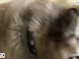 Zoofilia Mulher Grudada Com Cachorro