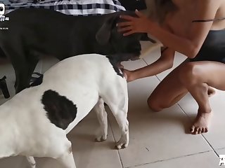 Xvideos Zoofilia Mulher Com Cavalo