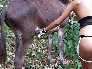 Gay Zoo Porn Teen
