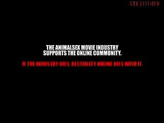 Anime Girl Sex Animal