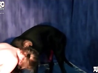 Mimi Dog Porn Comic