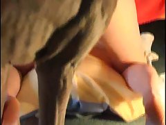 Dog Fuck Big Tit