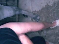Girl And Dog Fuck Video