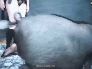 3d Animated Horse Porn