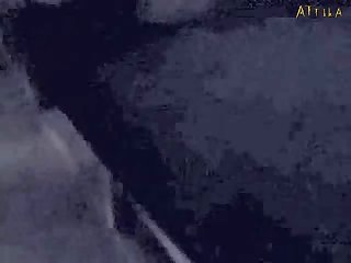 Whore Dog Porn