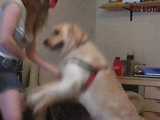 Dog Fuck Knotted
