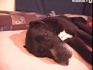 Wife And Her Friend Fuck Dog