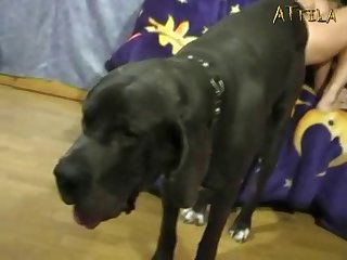 Teen Lets Family Dog Fuck Her