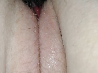 Man Fuck Dog Gangbang